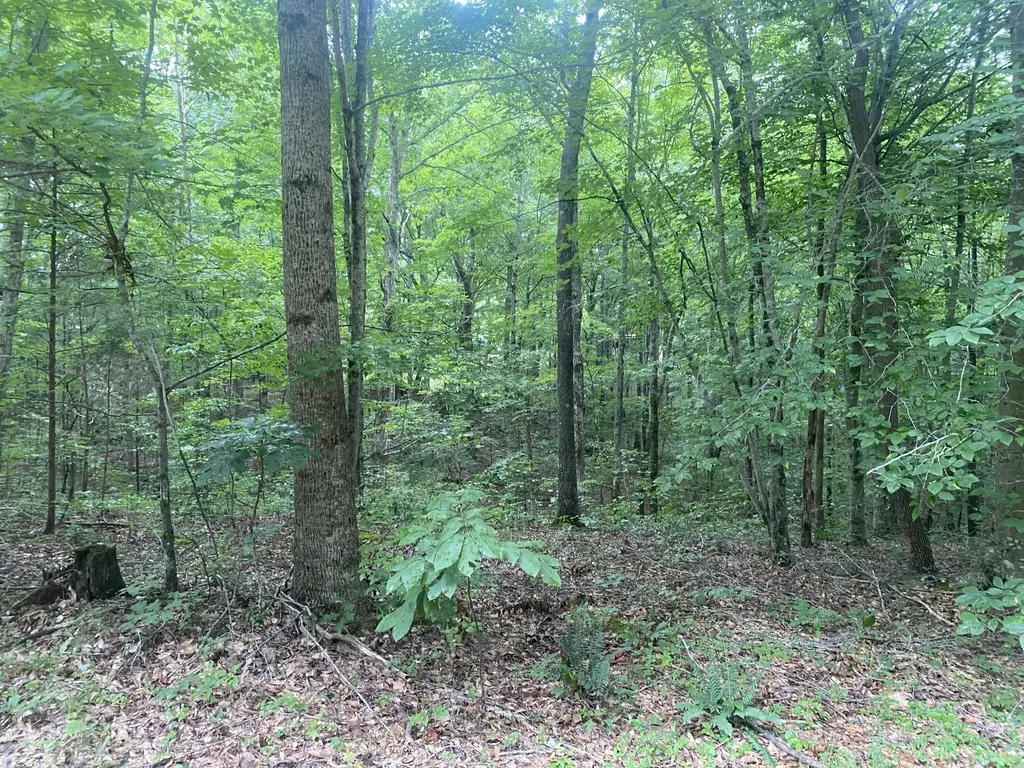 0 Broyles Lane Columbia KY 42728