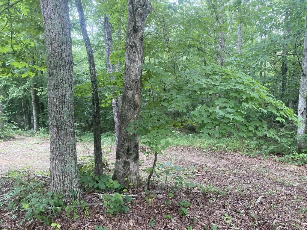 0 Broyles Lane Columbia KY 42728