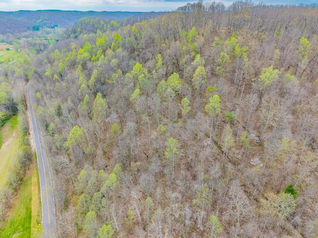 10200 Cranston Road Morehead KY 40351