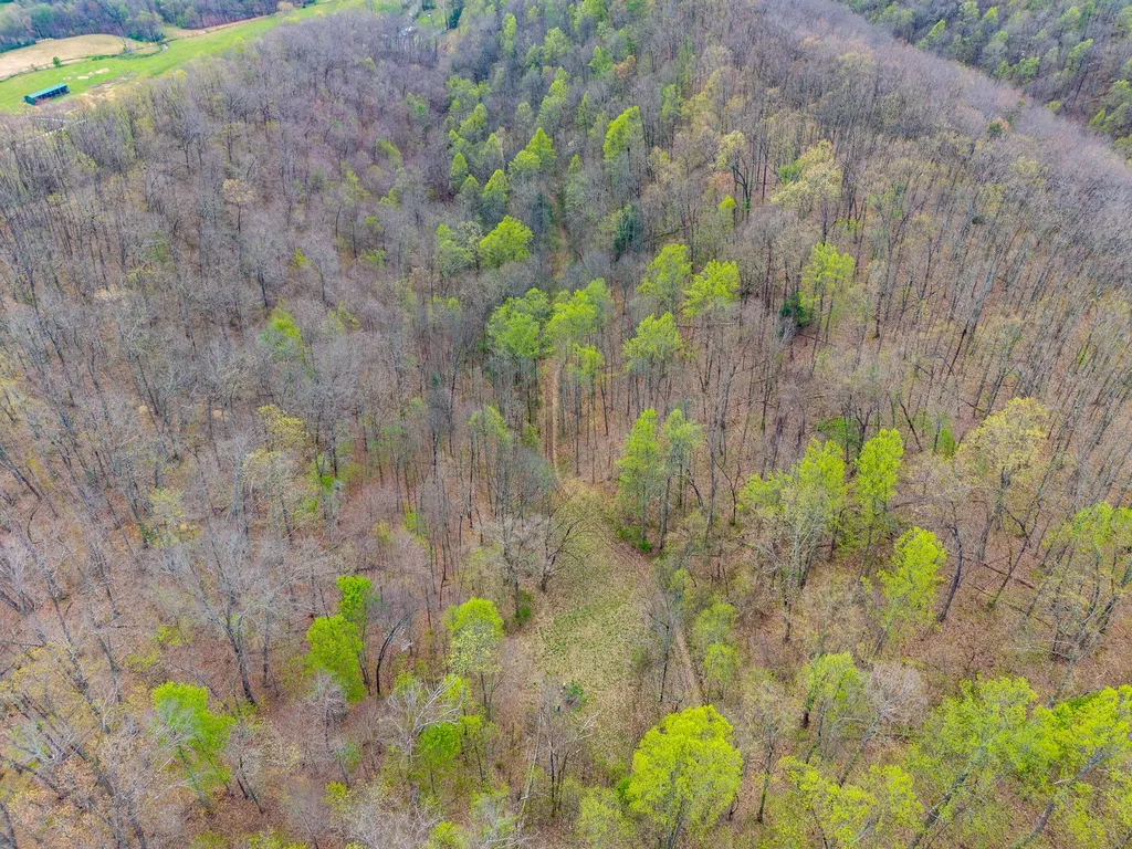 10200 Cranston Road Morehead KY 40351
