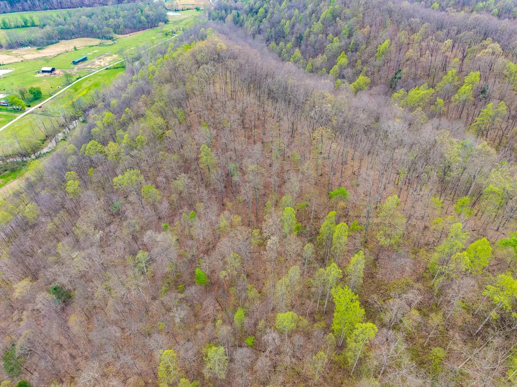 10200 Cranston Road Morehead KY 40351