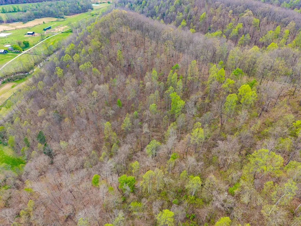 10200 Cranston Road Morehead KY 40351