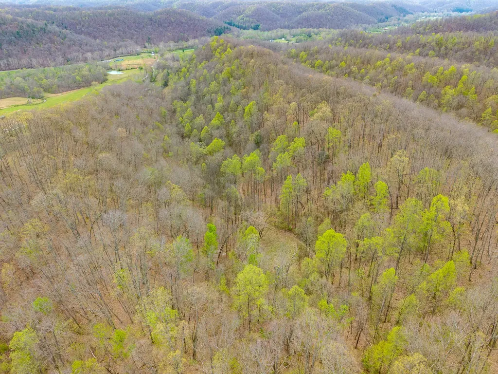 10200 Cranston Road Morehead KY 40351