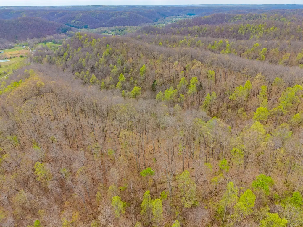 10200 Cranston Road Morehead KY 40351