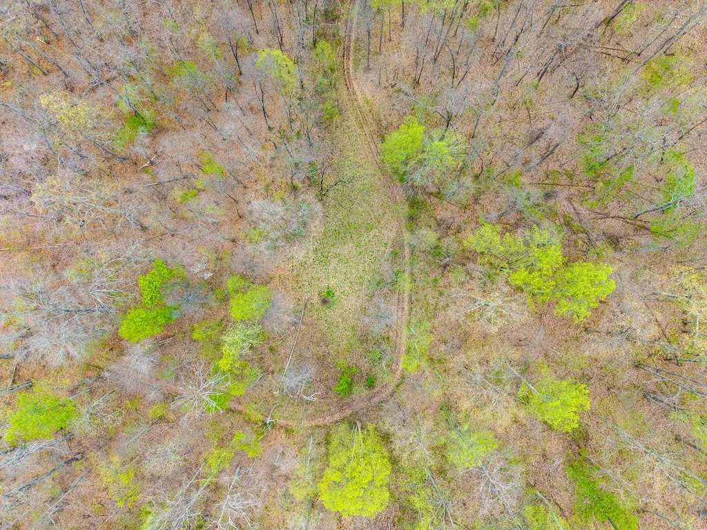 10200 Cranston Road Morehead KY 40351