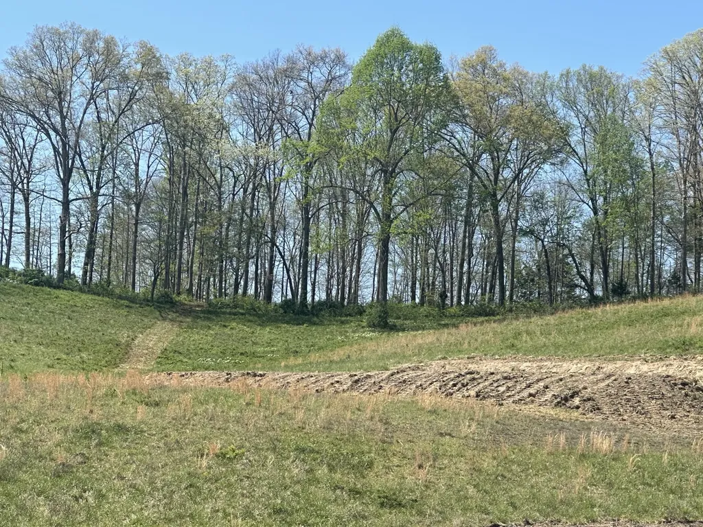 147 Coon Trail East Bernstadt KY 40729