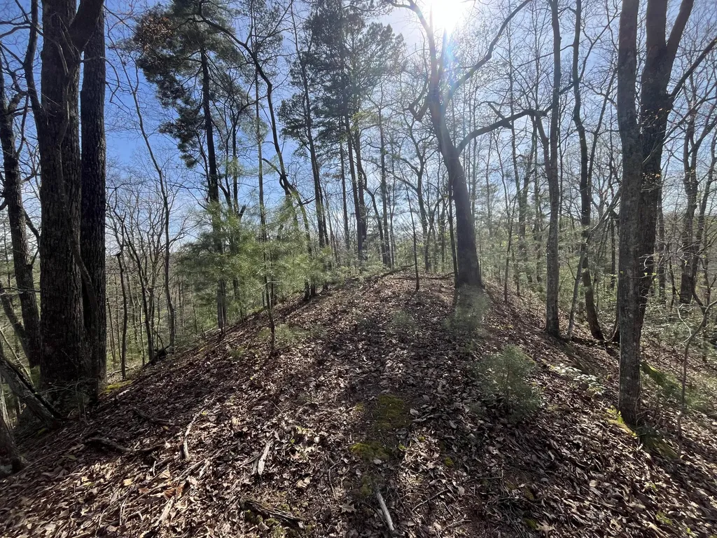 Lot 2 Mountain Springs Cem Road Ravenna KY 40472