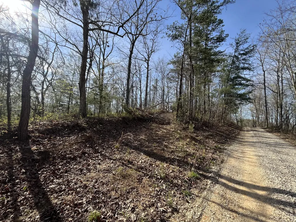 Lot 2 Mountain Springs Cem Road Ravenna KY 40472
