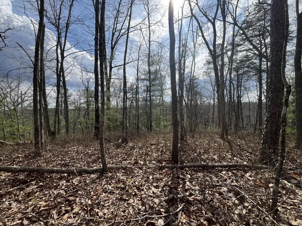 Lot 2 Mountain Springs Cem Road Ravenna KY 40472