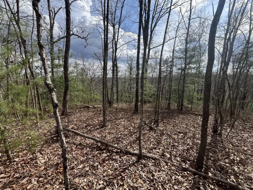 Lot 2 Mountain Springs Cem Road Ravenna KY 40472