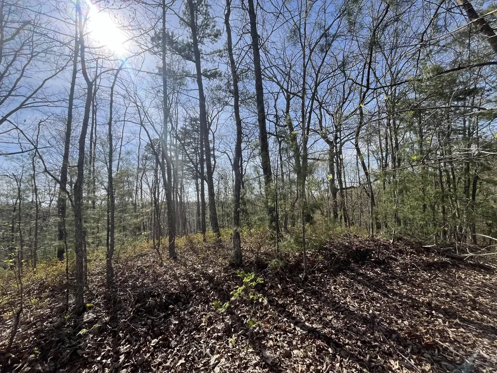 Lot 2 Mountain Springs Cem Road Ravenna KY 40472