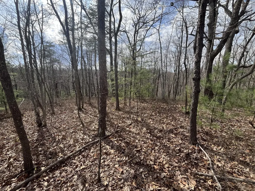 Lot 2 Mountain Springs Cem Road Ravenna KY 40472