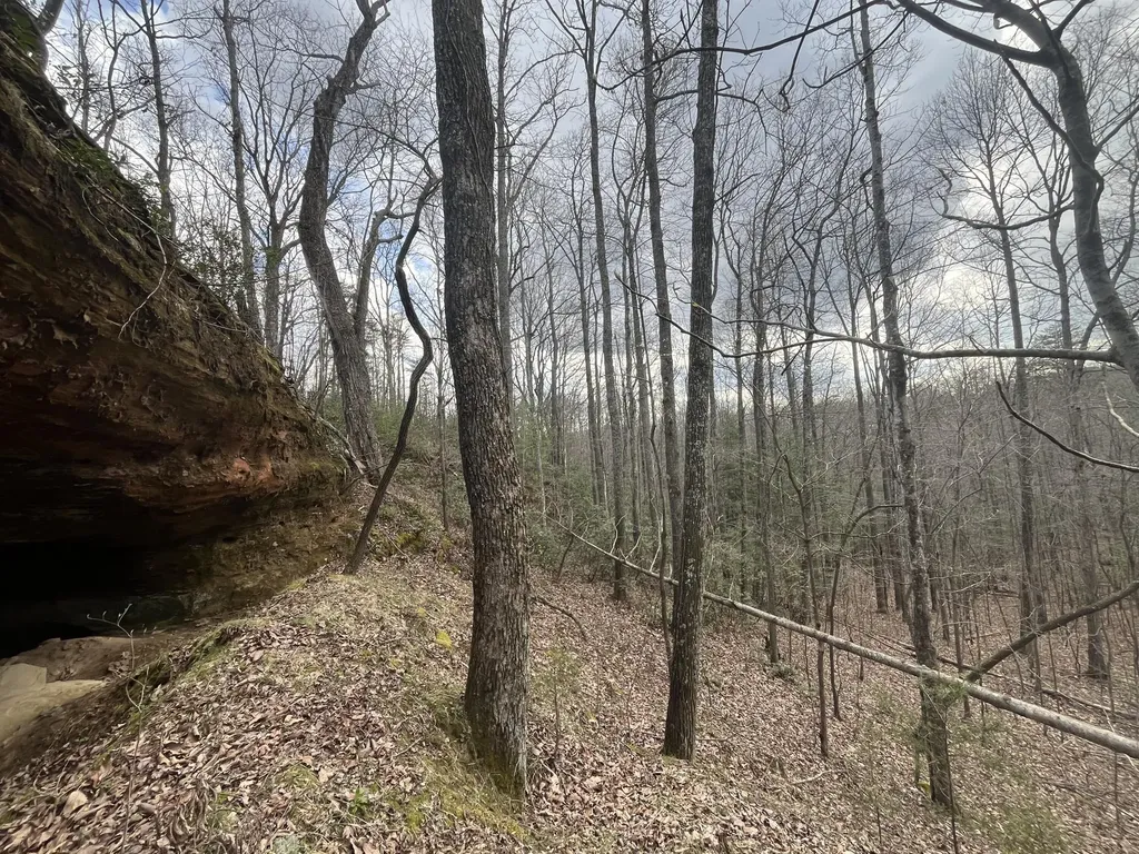 Lot 2 Mountain Springs Cem Road Ravenna KY 40472