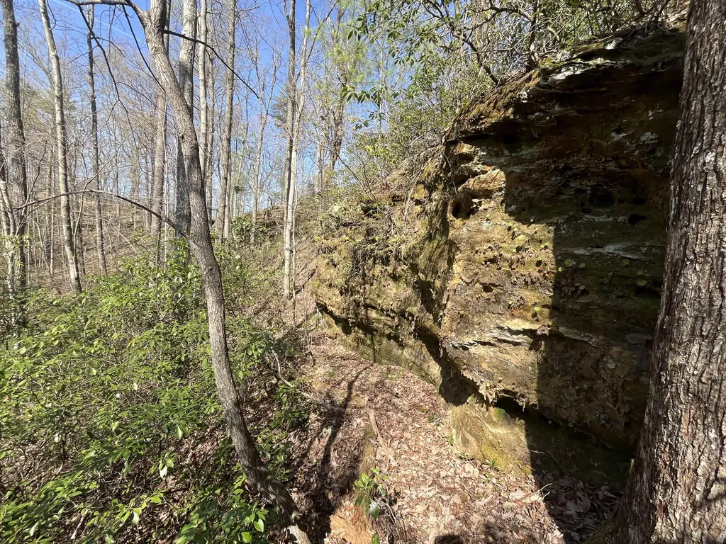 Lot 2 Mountain Springs Cem Road Ravenna KY 40472