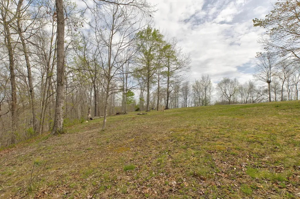 150 Wild Turkey Road Morehead KY 40351