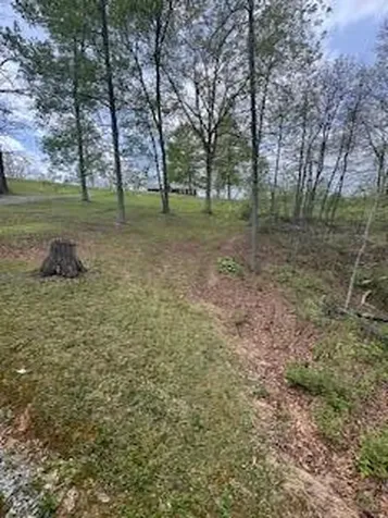 196 Cottonwood Road Louisa KY 41230