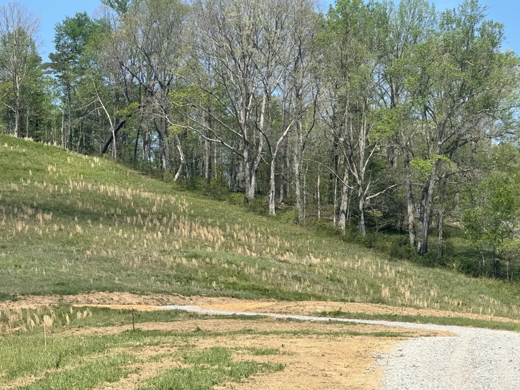 136 Coon Trail East Bernstadt KY 40729
