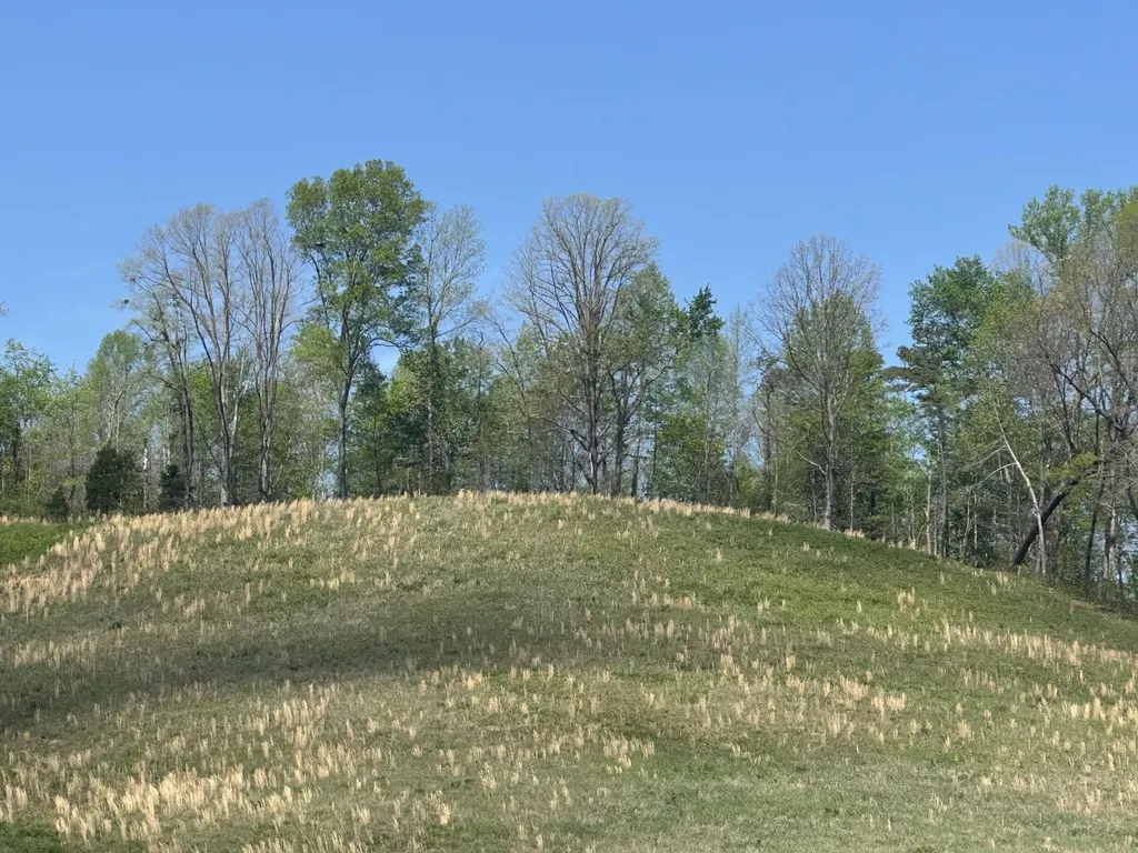 136 Coon Trail East Bernstadt KY 40729