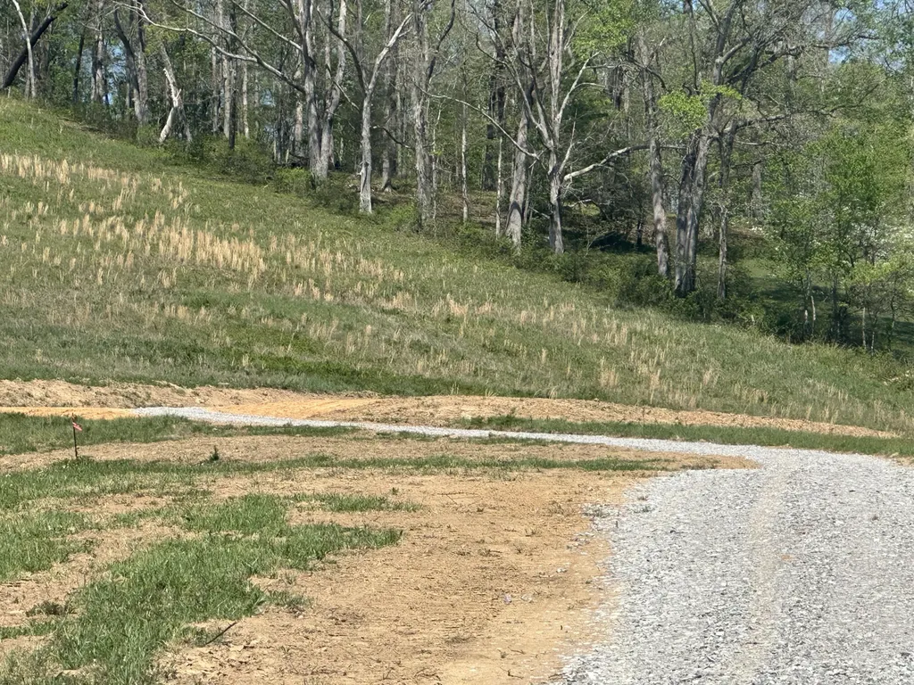 136 Coon Trail East Bernstadt KY 40729