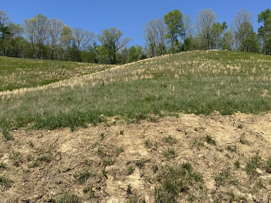 136 Coon Trail East Bernstadt KY 40729