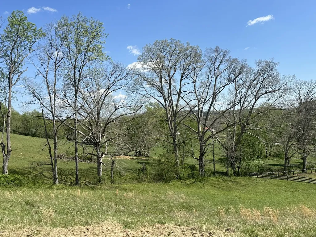 136 Coon Trail East Bernstadt KY 40729