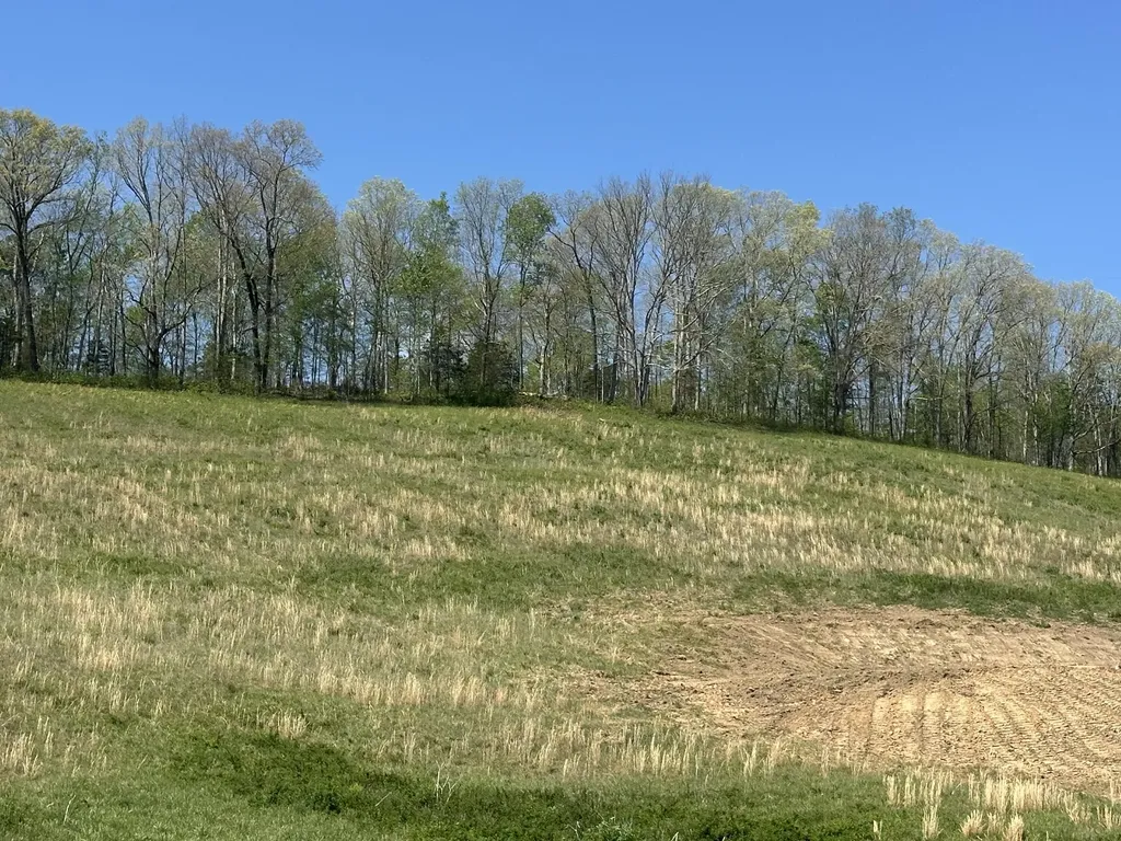 148 Coon Trail East Bernstadt KY 40729