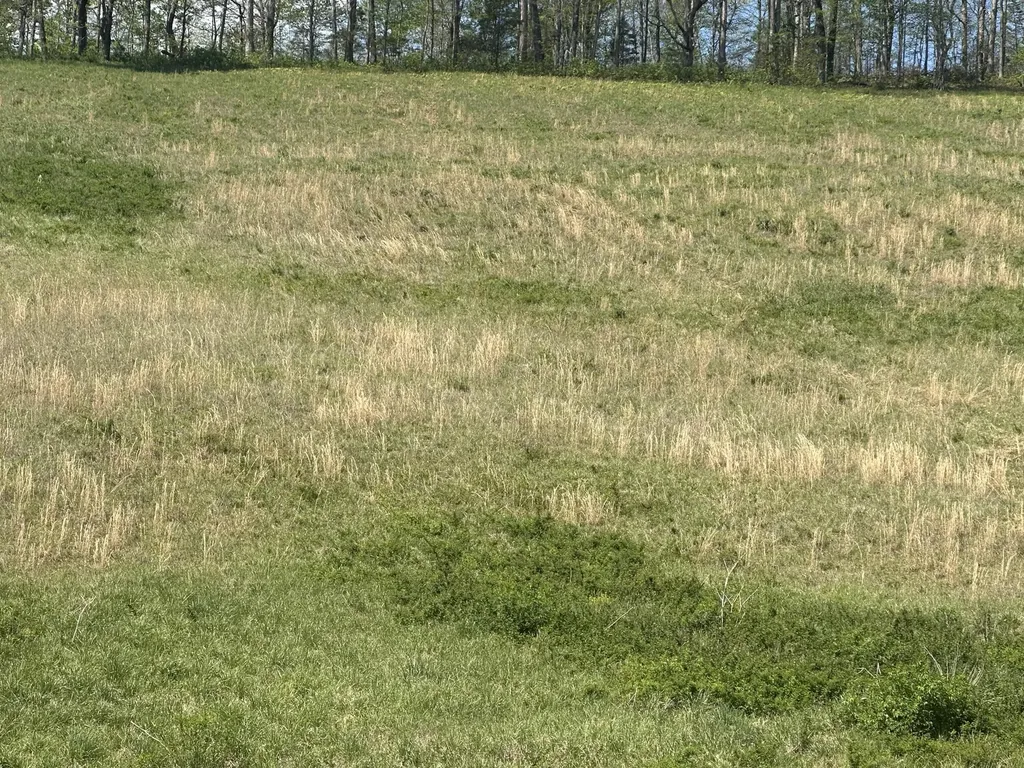 148 Coon Trail East Bernstadt KY 40729