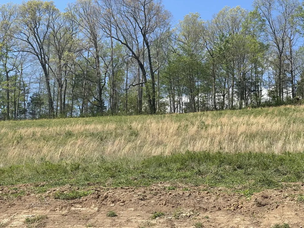 148 Coon Trail East Bernstadt KY 40729