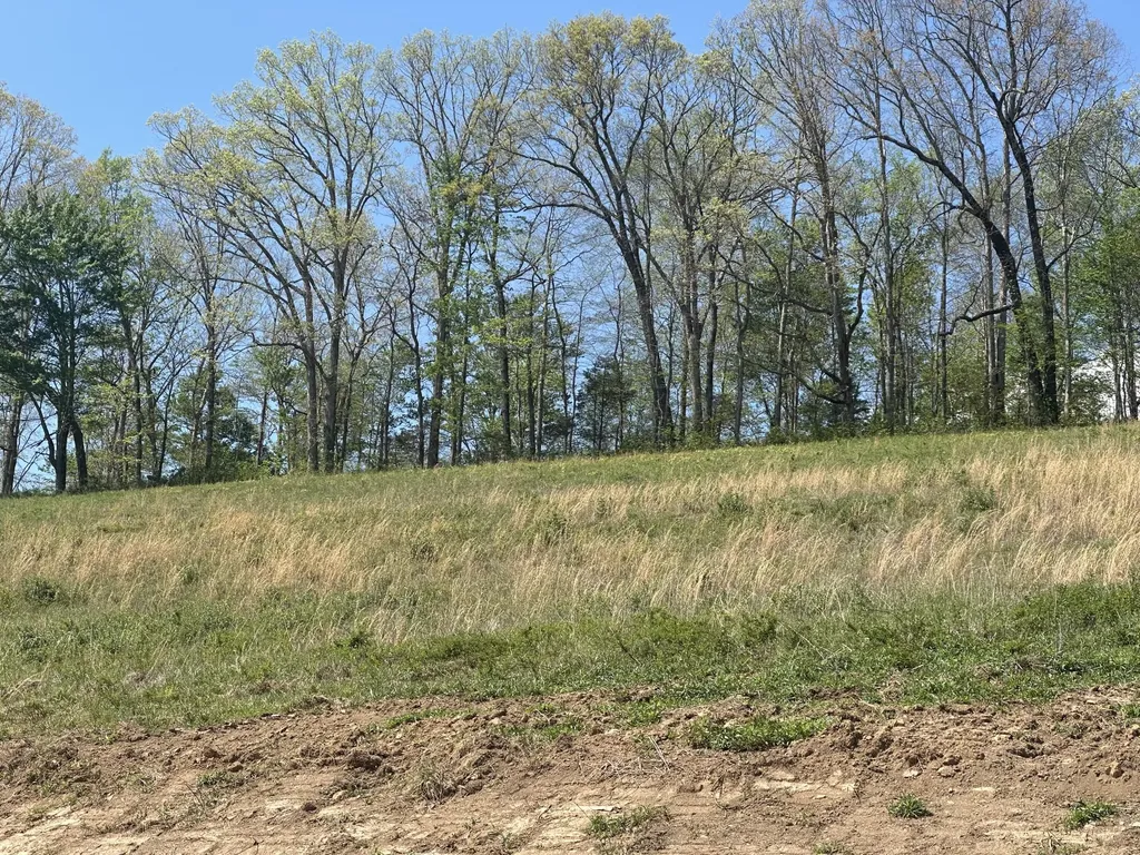 148 Coon Trail East Bernstadt KY 40729