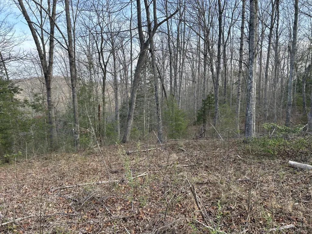 0000 State Highway 674 Monticello KY 42633