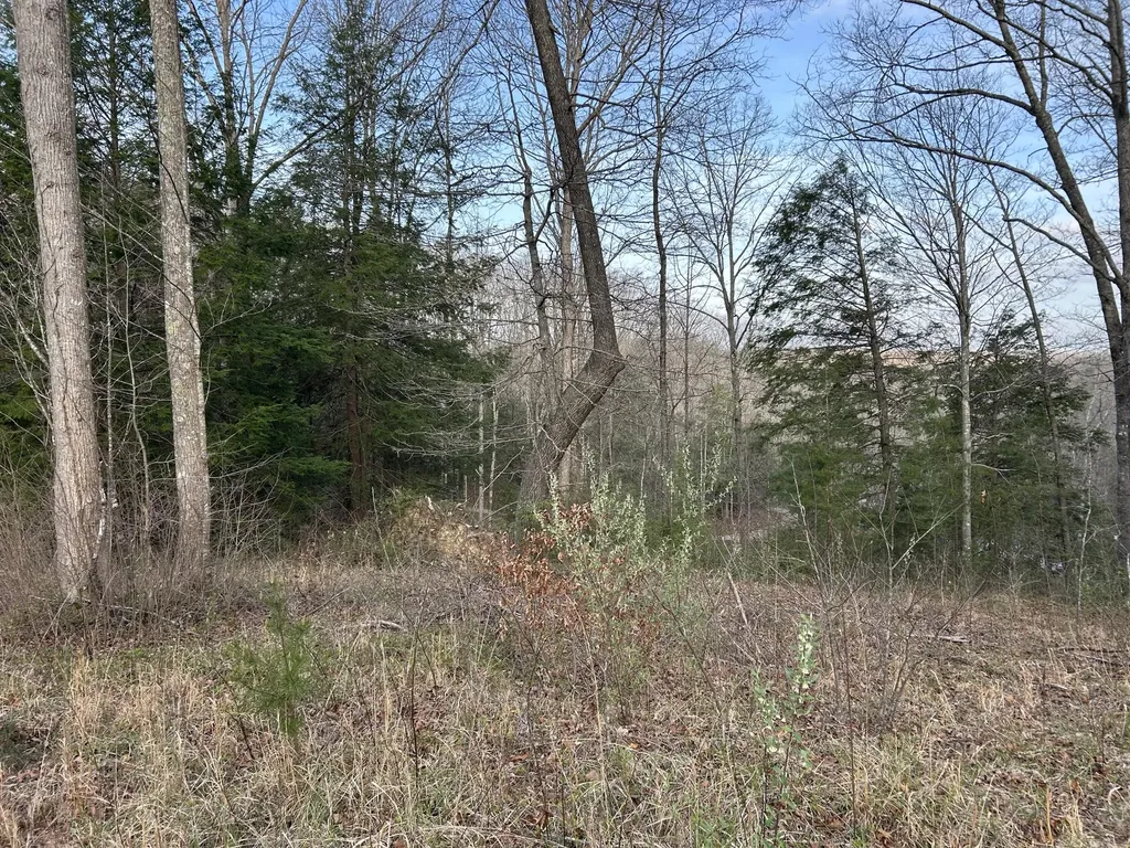 0000 State Highway 674 Monticello KY 42633