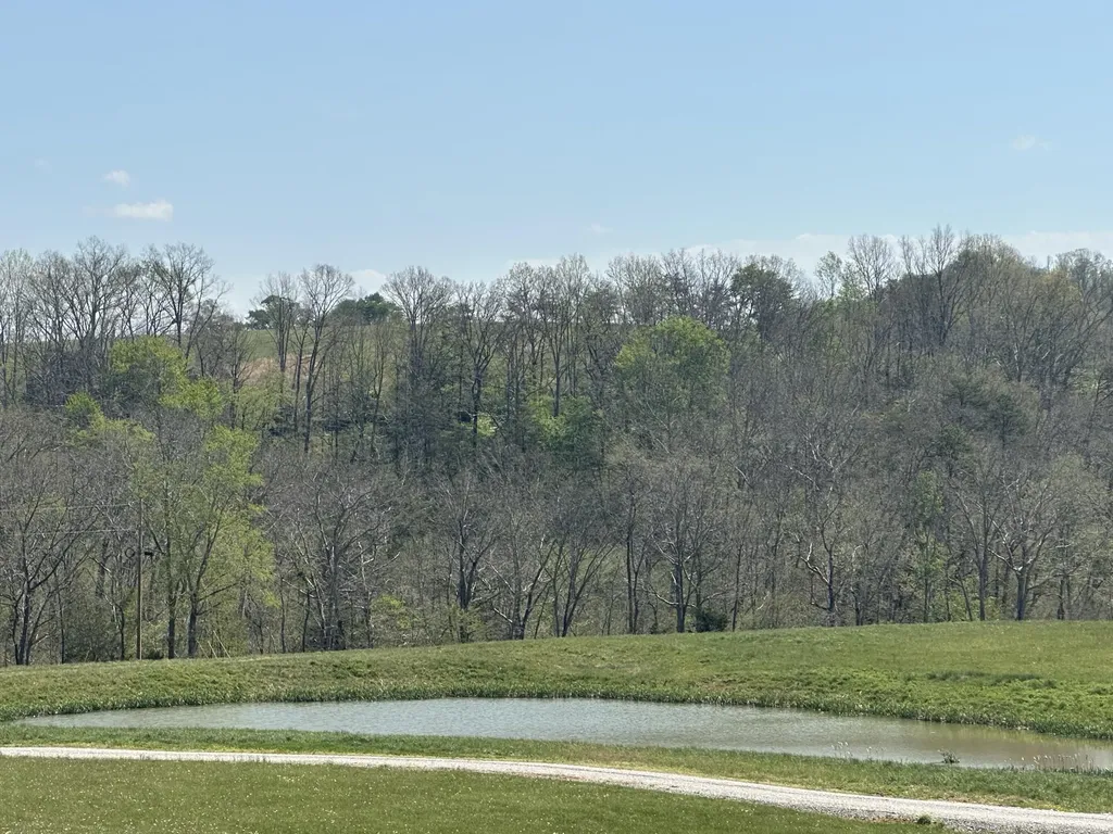 19 Coon Trail East Bernstadt KY 40729