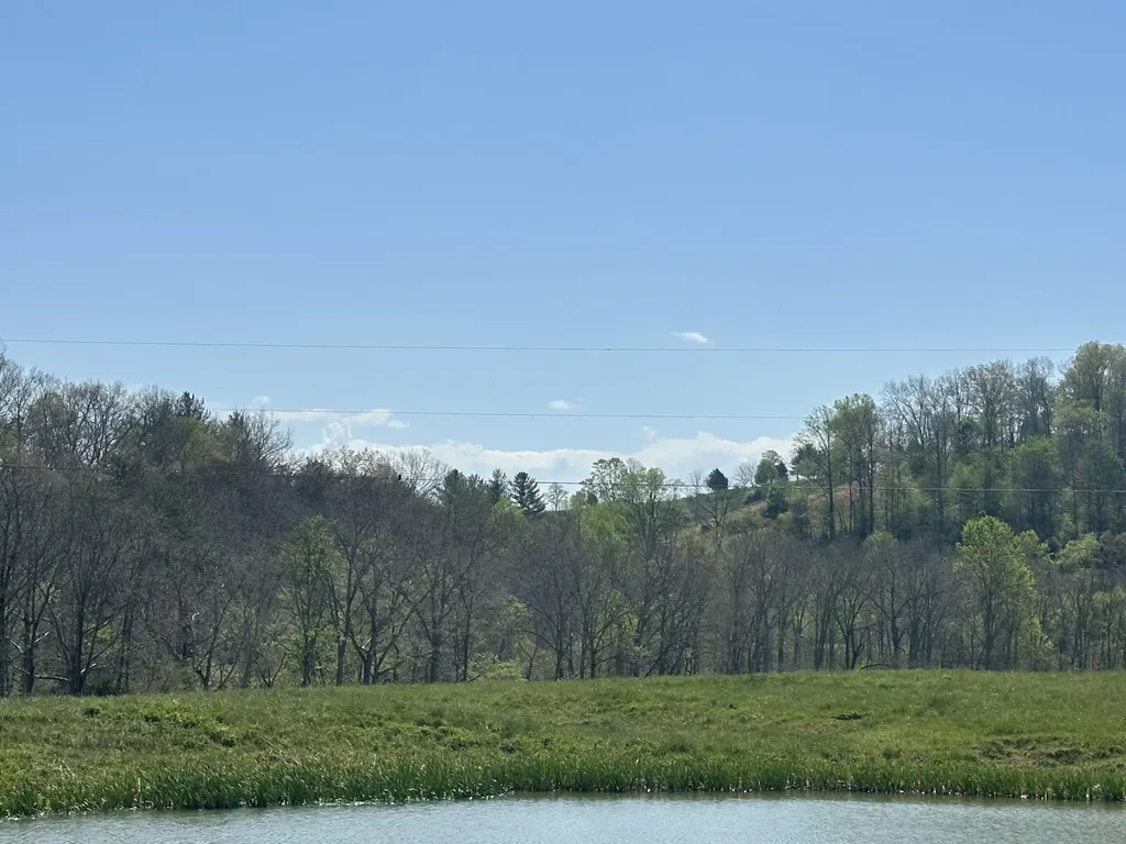 19 Coon Trail East Bernstadt KY 40729