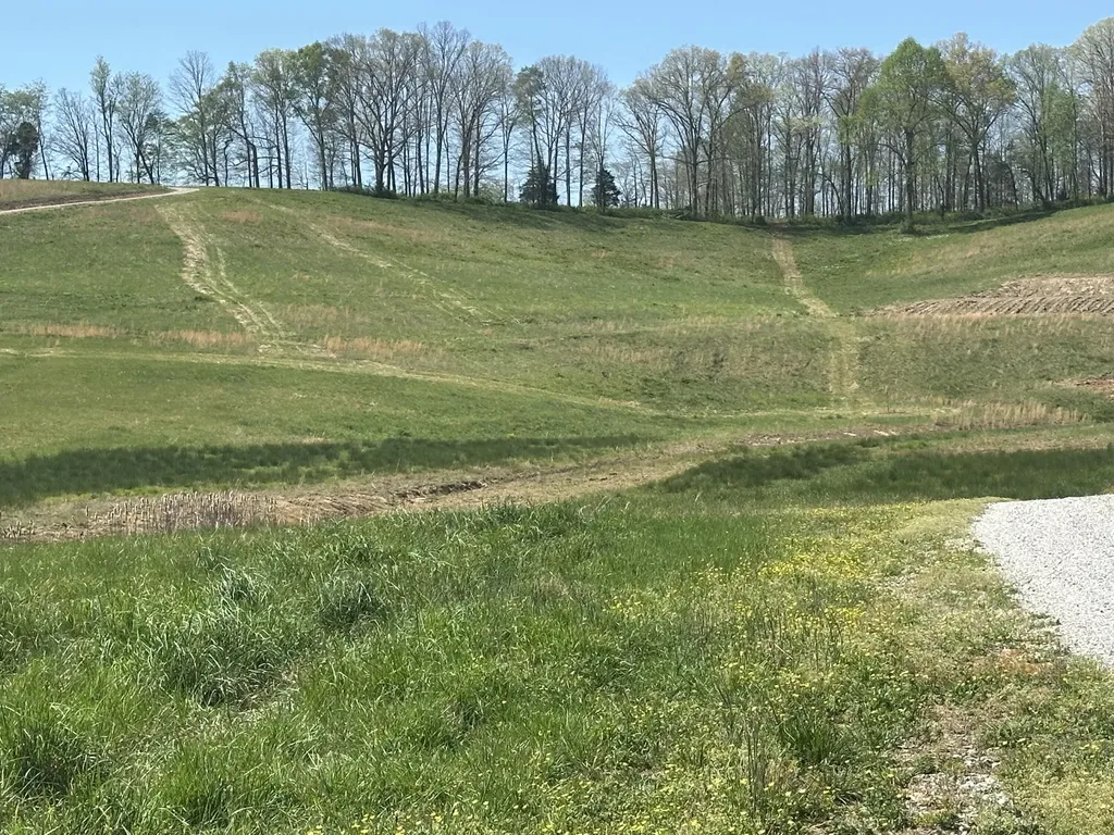 19 Coon Trail East Bernstadt KY 40729