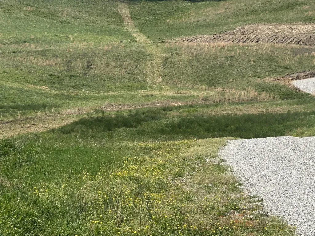 19 Coon Trail East Bernstadt KY 40729