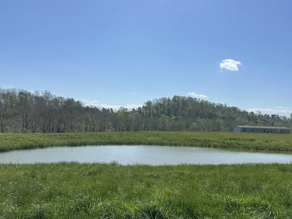 19 Coon Trail East Bernstadt KY 40729