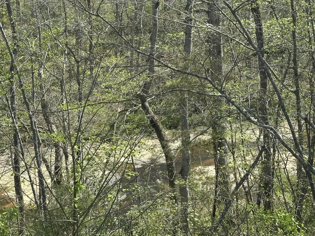 19 Coon Trail East Bernstadt KY 40729