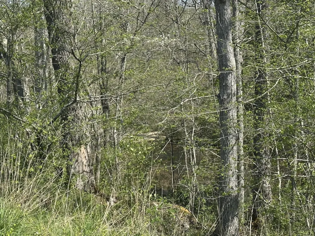19 Coon Trail East Bernstadt KY 40729