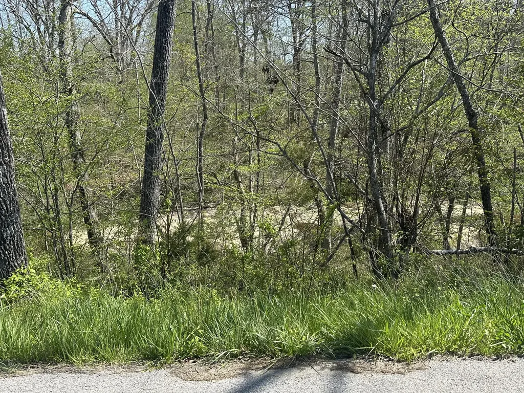 19 Coon Trail East Bernstadt KY 40729