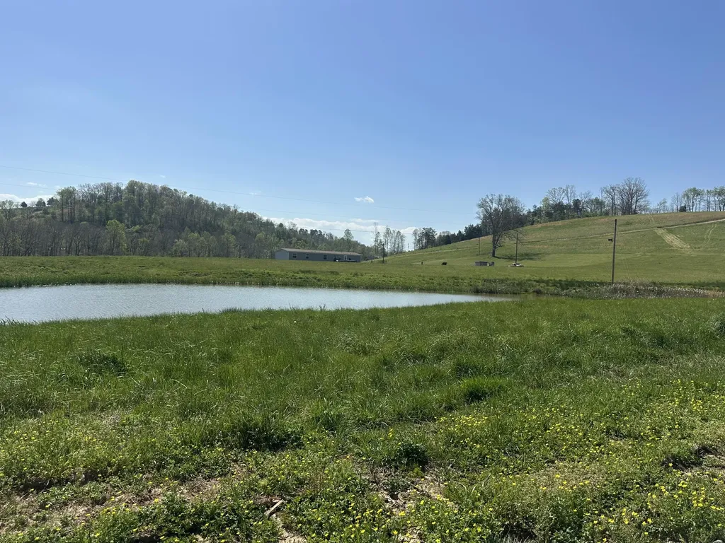 19 Coon Trail East Bernstadt KY 40729