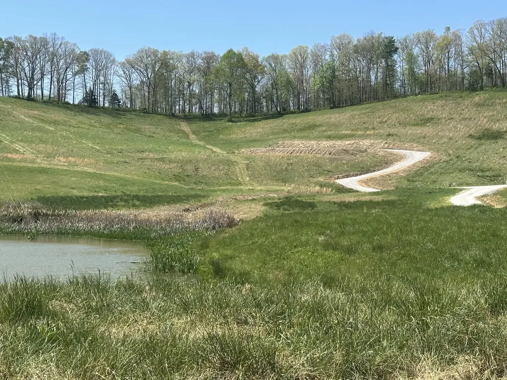 19 Coon Trail East Bernstadt KY 40729