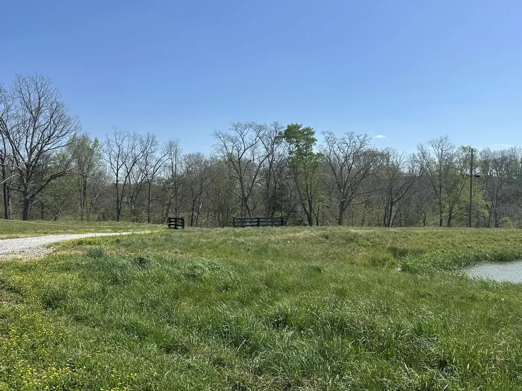 19 Coon Trail East Bernstadt KY 40729
