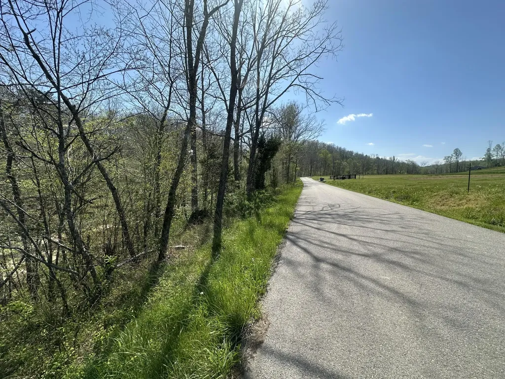 19 Coon Trail East Bernstadt KY 40729