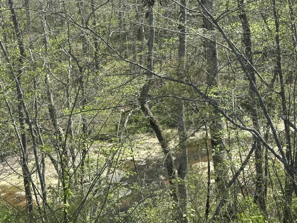 19 Coon Trail East Bernstadt KY 40729