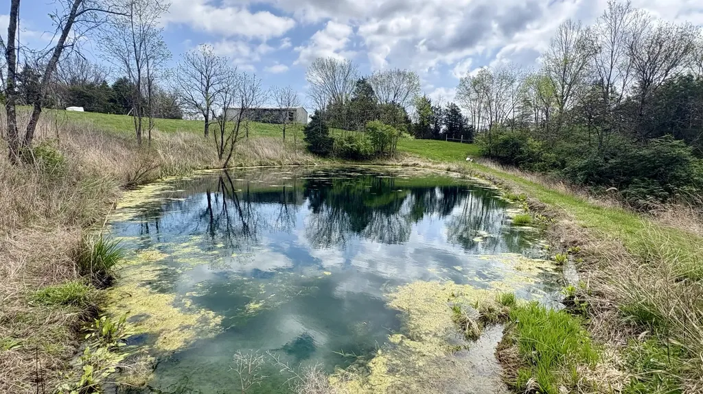 995 Pete Towles Road Owenton KY 40359