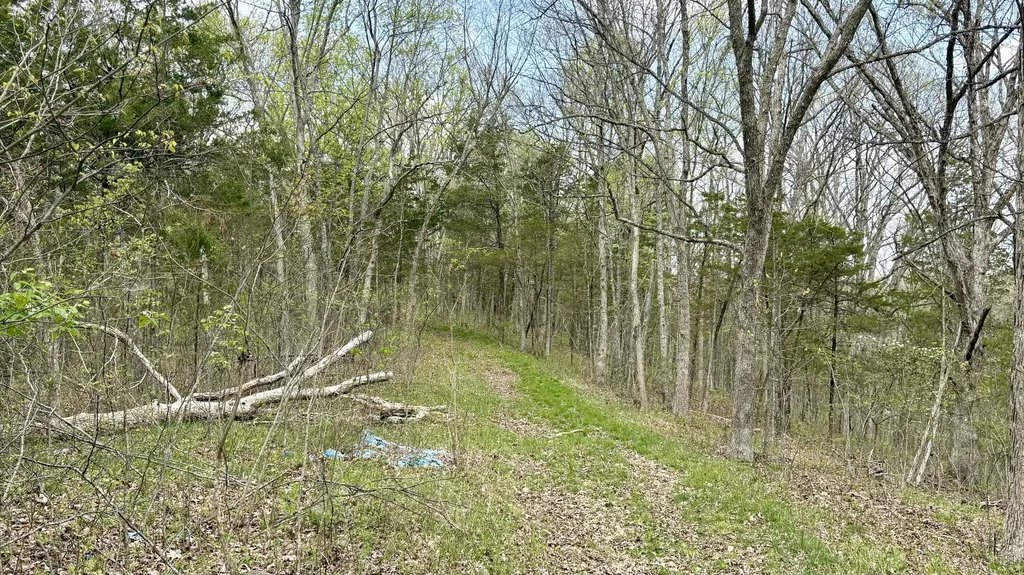 995 Pete Towles Road Owenton KY 40359