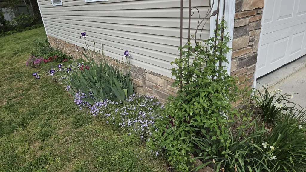 141 Ponderosa Drive London KY 40741