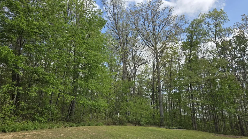 141 Ponderosa Drive London KY 40741