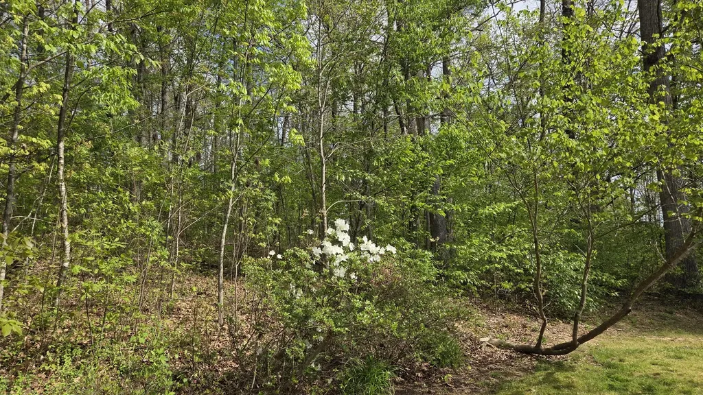 141 Ponderosa Drive London KY 40741
