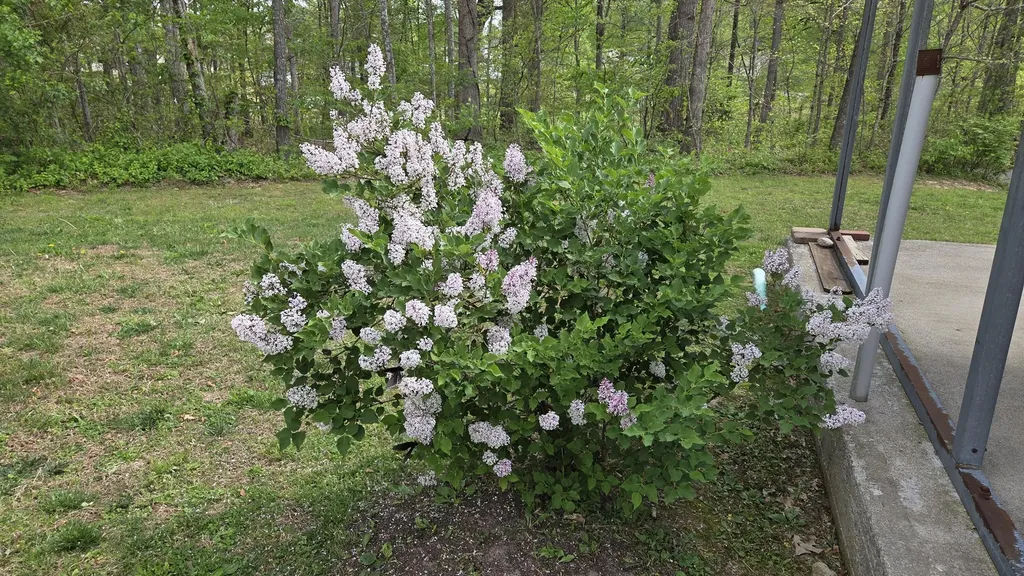 141 Ponderosa Drive London KY 40741